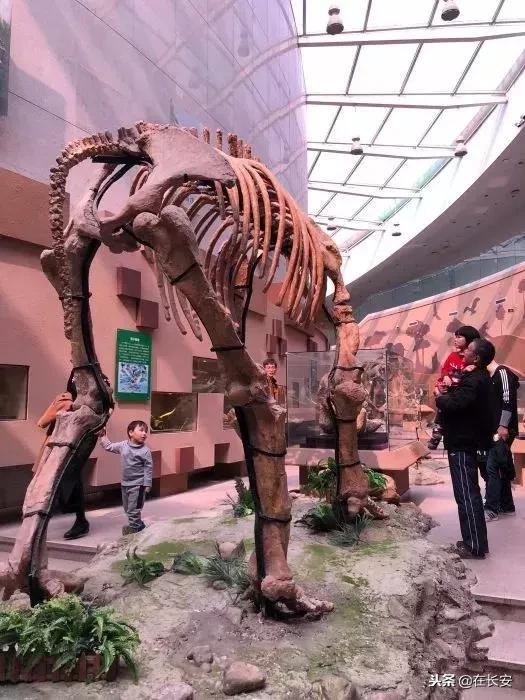 西安周边亲子游玩好去处推荐,西安儿童游乐去处推荐