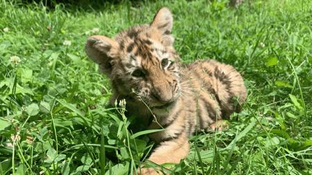 青岛西海岸啤酒节攻略,青岛西海岸周末去哪玩
