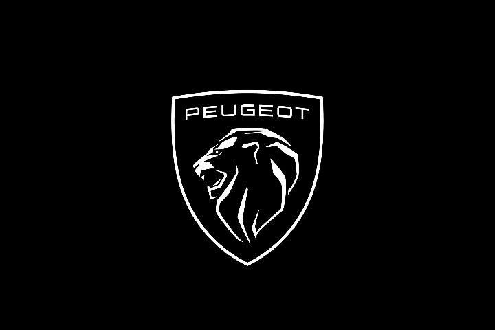 标致复古改装,复古风格标志