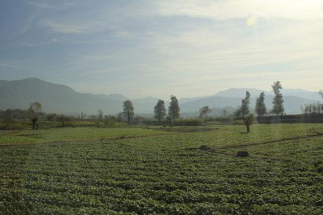 为什么安徽有名茶,安徽是不是最好的茶叶产区