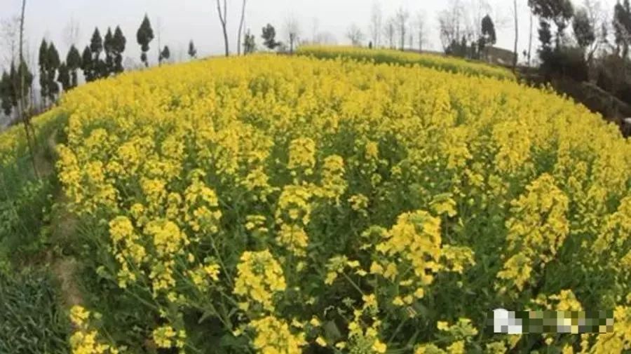 有个地方叫巴中抖音版,平昌好玩的地方