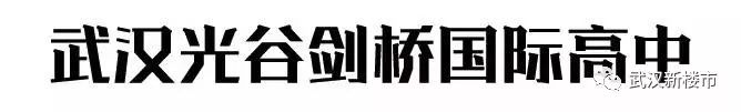 汉街幼儿园是武汉最贵的吗,武汉最贵的幼儿园多少钱啊