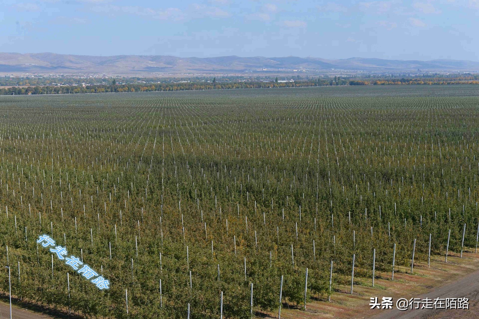 没有存在感的小国,生活成本最低的几个亚洲国家