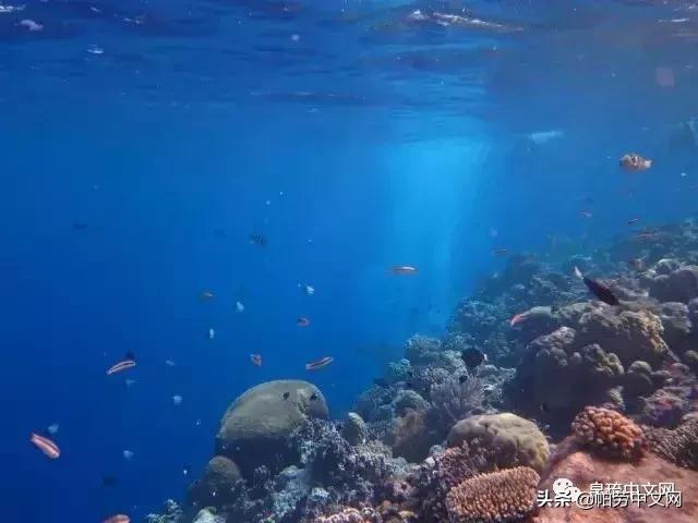 帕劳是哪个国家,帕劳群岛是哪个国家