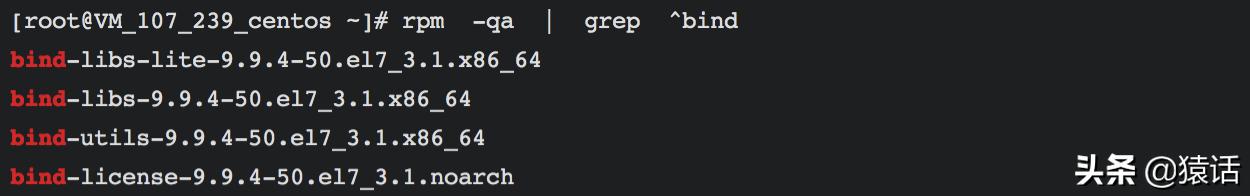 linuxdns服务器搭建,系统搭建思路