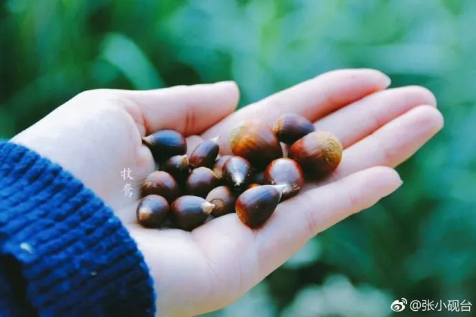 10年前，那个花83元穷游*藏西**的姑娘，后来怎么样了？