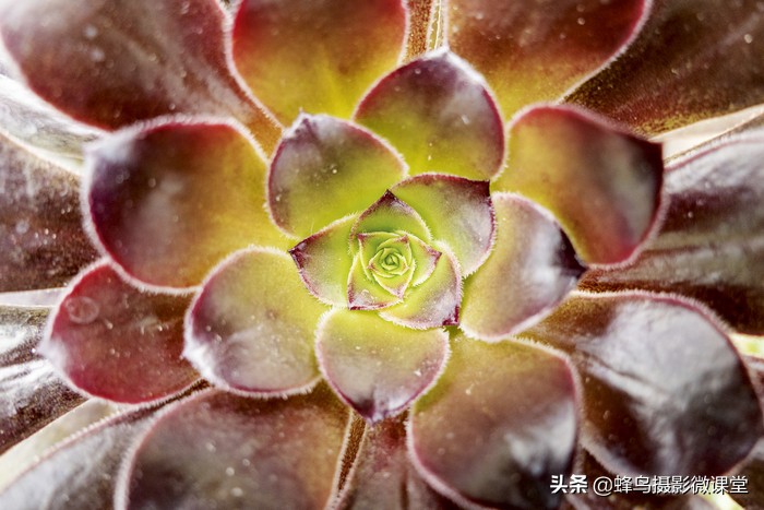 徕卡v-lux和徕卡v-lux5有什么不同,徕卡v-lux5