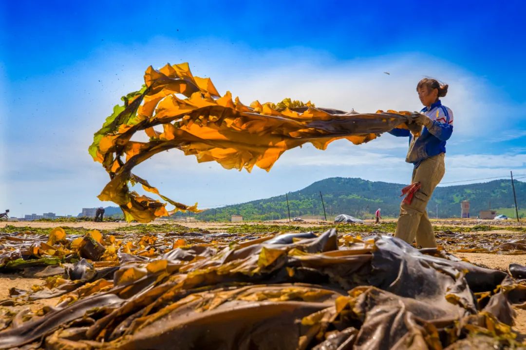 走向我们的小康生活微电影,走向我们的小康生活中国画
