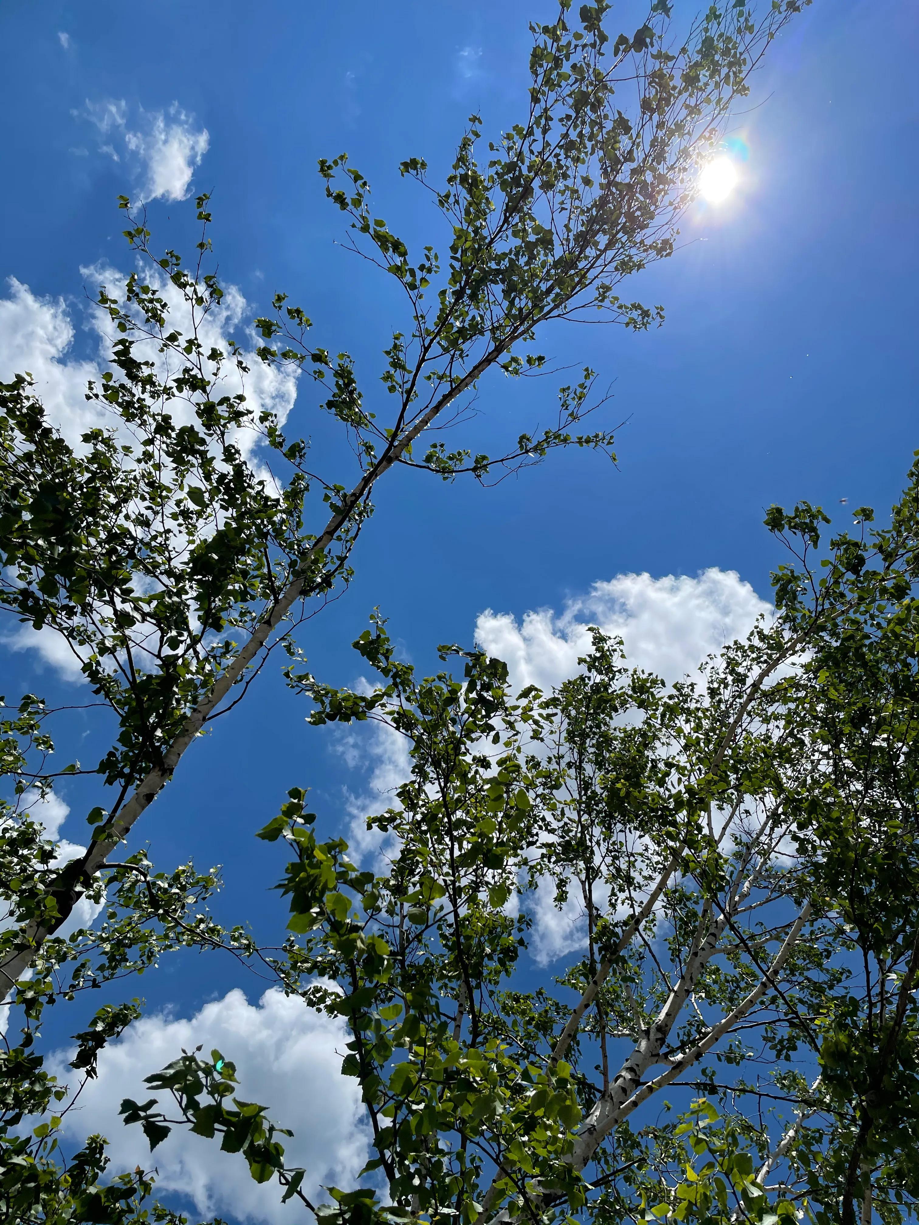 北京正北189公里-丰宁坝上草原之旅