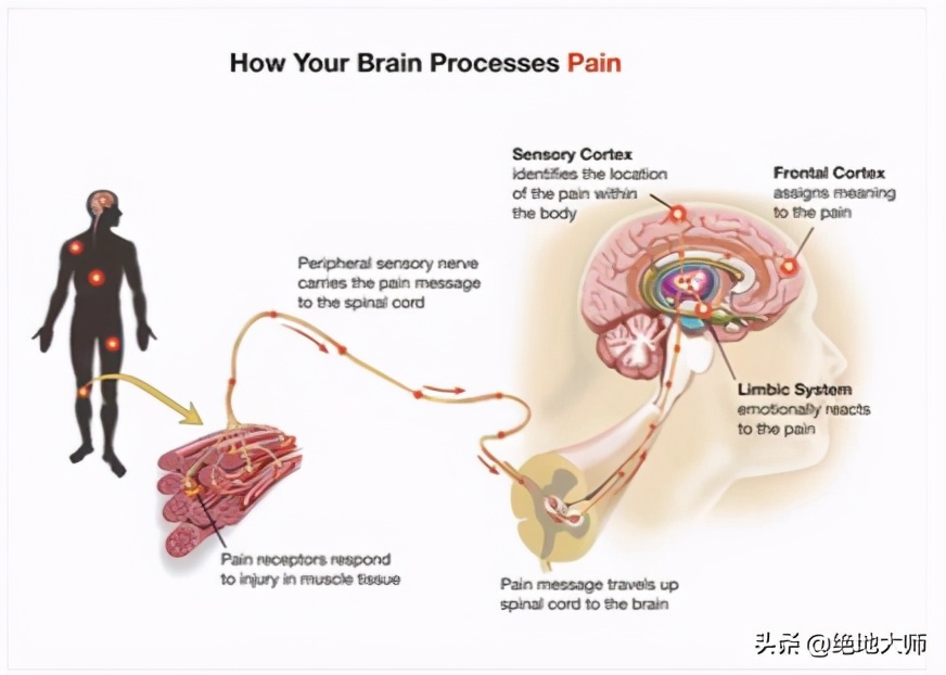 慢性神经痛能治疗好吗,慢性疼痛与心理作用
