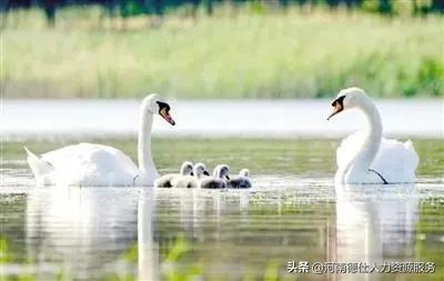 郑州电动车没戴头盔罚款在哪里交,郑州骑电动车不戴头盔