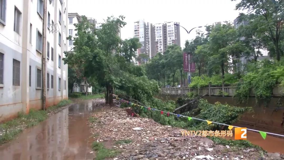 洪水涌入地下车库视频播放,洪水涌入地下停车场