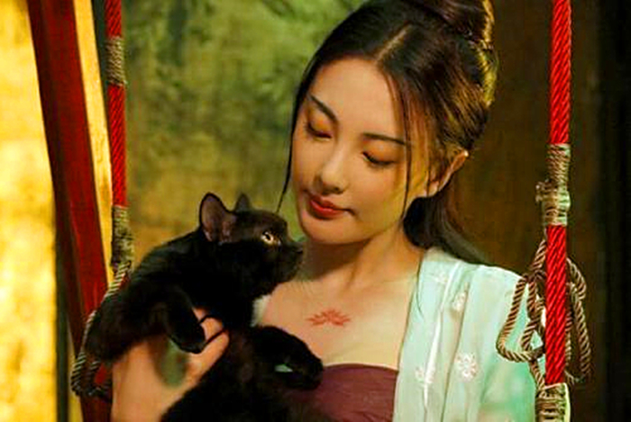 黑猫的性格与脾气怎么样,黑猫具有什么特点和性格