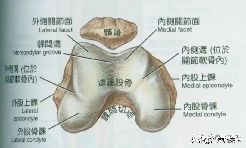 髌骨习惯性脱位手术多少钱,髌骨习惯性脱位韧带重建术