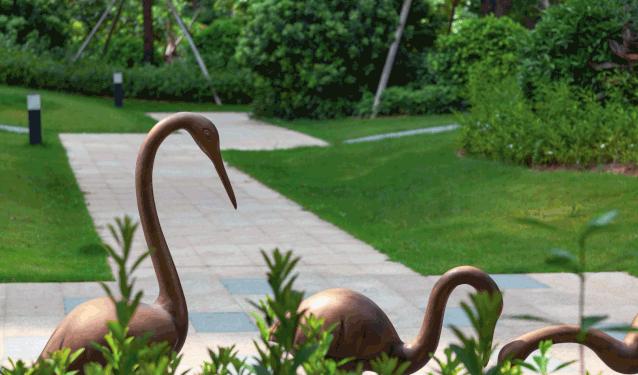 珠海蓝湾半岛视频,珠海蓝湾半岛