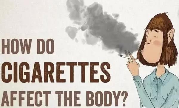 日本买中国烟多少钱,日本卖中华多少钱一包