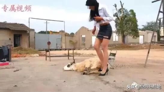 “美女*杀虐**动物”视频定制贩卖成产业链！开价15000一部