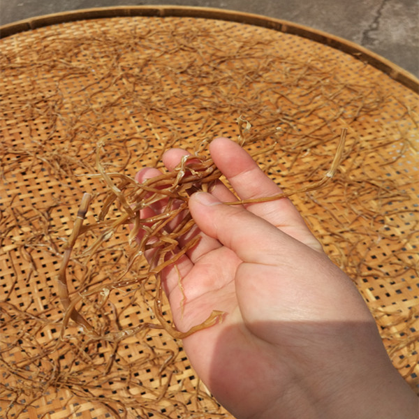 竹笋焯水后晒几成干放冰冻最好,莴笋笋干怎么晾晒