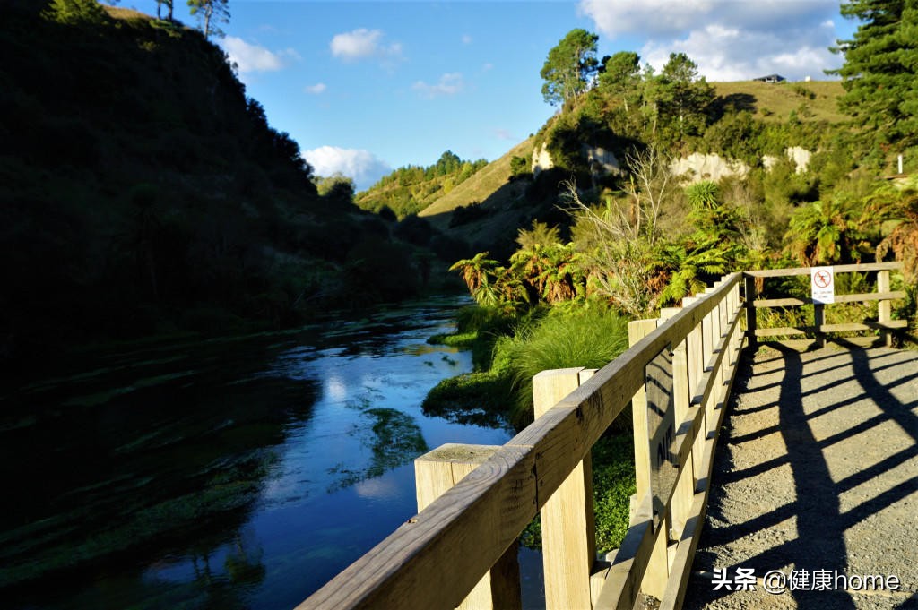 新西兰霍比特人村攻略,新西兰霍比特蓝泉一日游