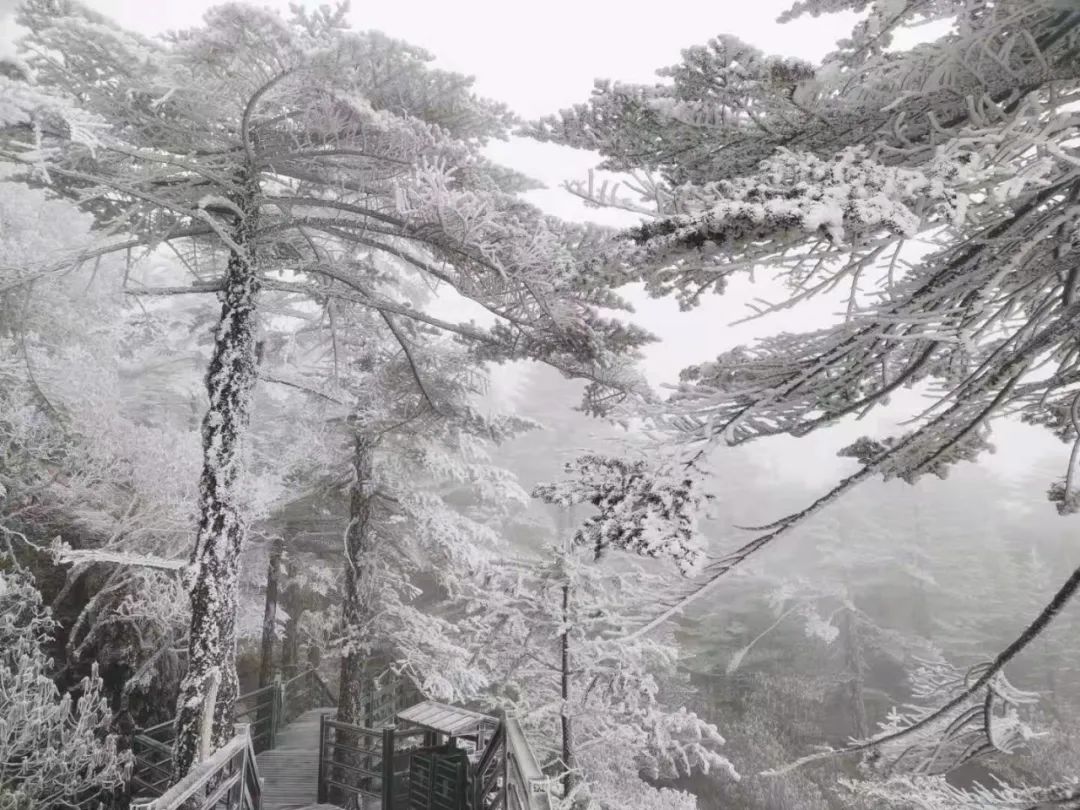 大寒潮小寒潮,寒潮带来大范围降雪
