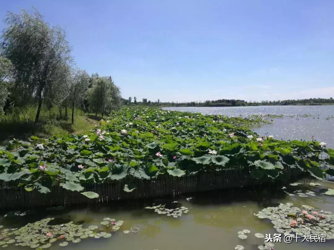 浙江长兴农家乐400元包吃住的民宿,长兴农家乐10月3日到5月三日游