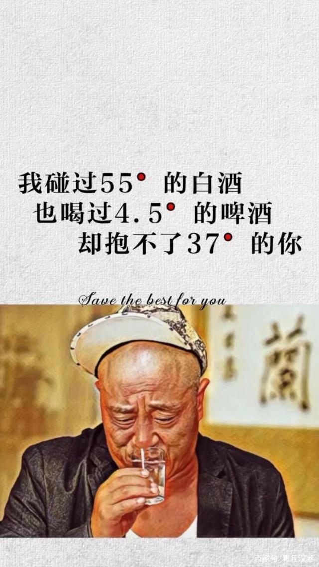 福佳白哪款啤酒最好,hoegaarden福佳白啤酒比利时原装330ml