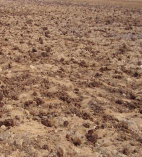 马铃薯组培苗栽培管理技术,马铃薯主要栽培技术