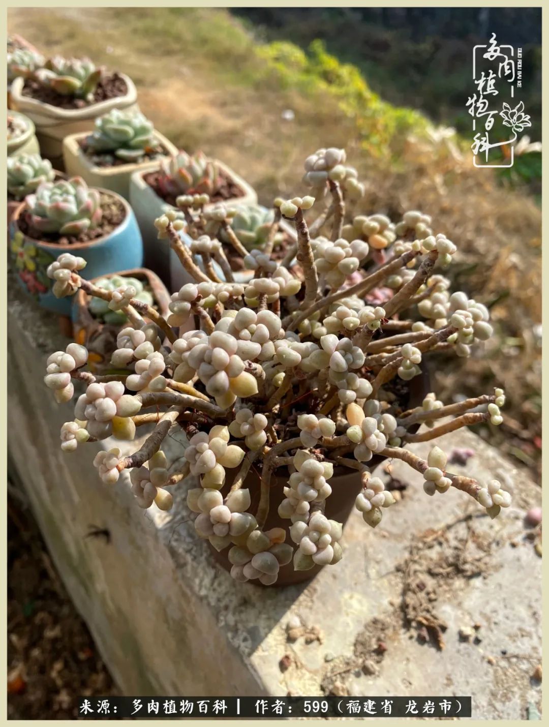 所有的热爱都不遗余力,所有的忙碌都是因为热爱