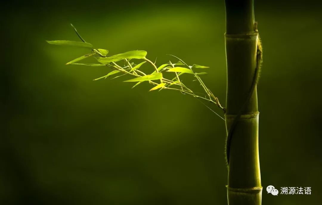 看清身边的人认清身边的鬼,看清偶像的真面目