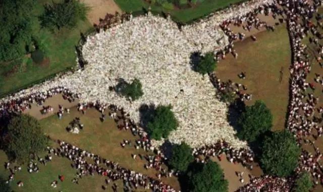 100张惊人奇怪照片,100张绝对惊人的照片