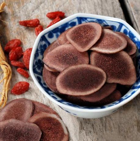 鹿茸补肾炖汤的做法大全家常,鹿茸炖汤注意什么