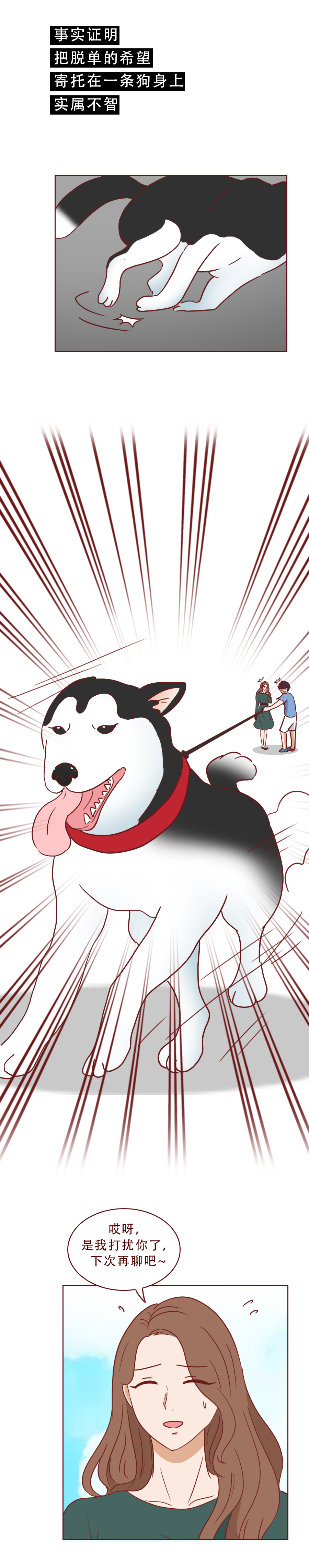 捡回来抑郁的猫,捡回一只小猫原居民抑郁了