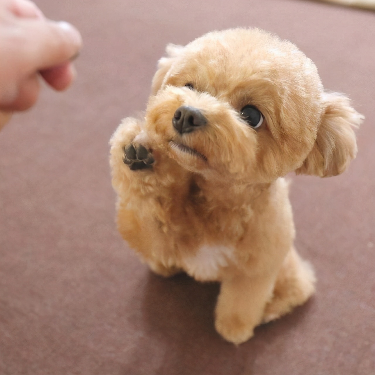 再生气也不能打孩子的几个部位,再生气都不能打的三个部位