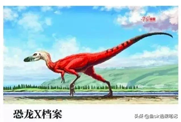 鏈変粈涔堝厤璐瑰瀛愬涔犵殑app,3宀佸皬鏈嬪弸鍏嶈垂瀛︿範app