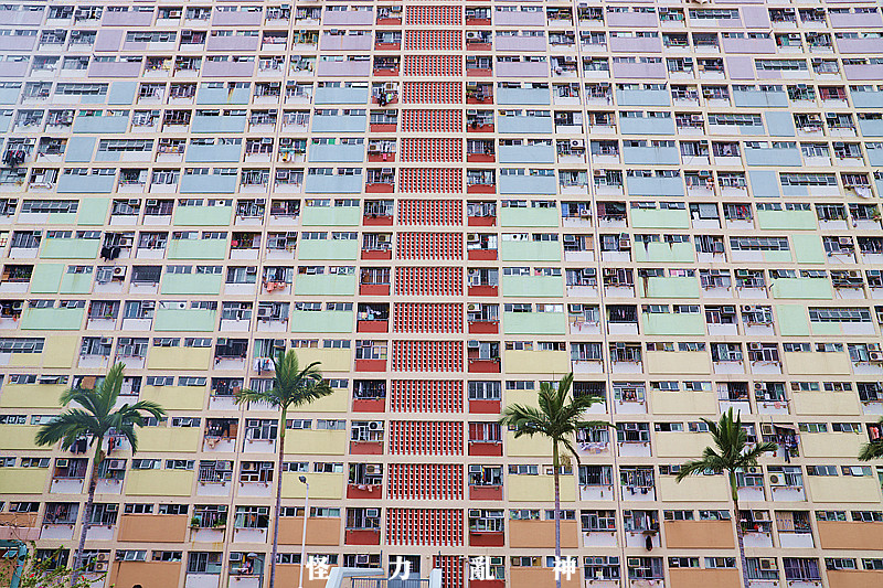 香港一天打卡攻略,香港必打卡的地方