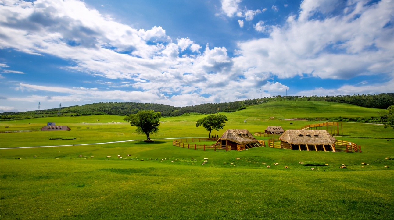守绿色初心享生机城市三寰牧场绿色消暑旅游线路发布会顺利举办