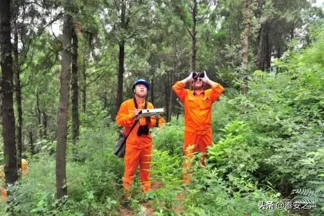 泰山隐藏路线,登泰山步行有几条路