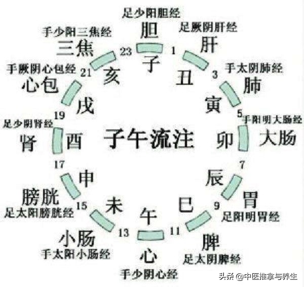 穴位简便易学取穴法,穴位及取穴法