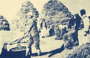 为什么盘锦大米好吃,盘锦碱地大米和蟹田大米哪个好吃