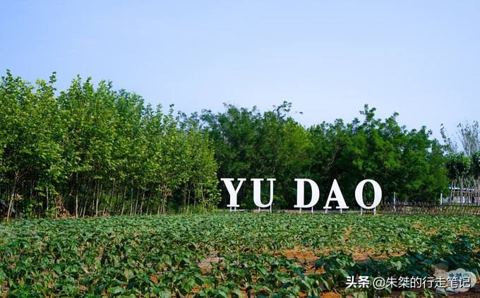 秦皇岛可以泡着玩的海滩,去秦皇岛必游的海滩