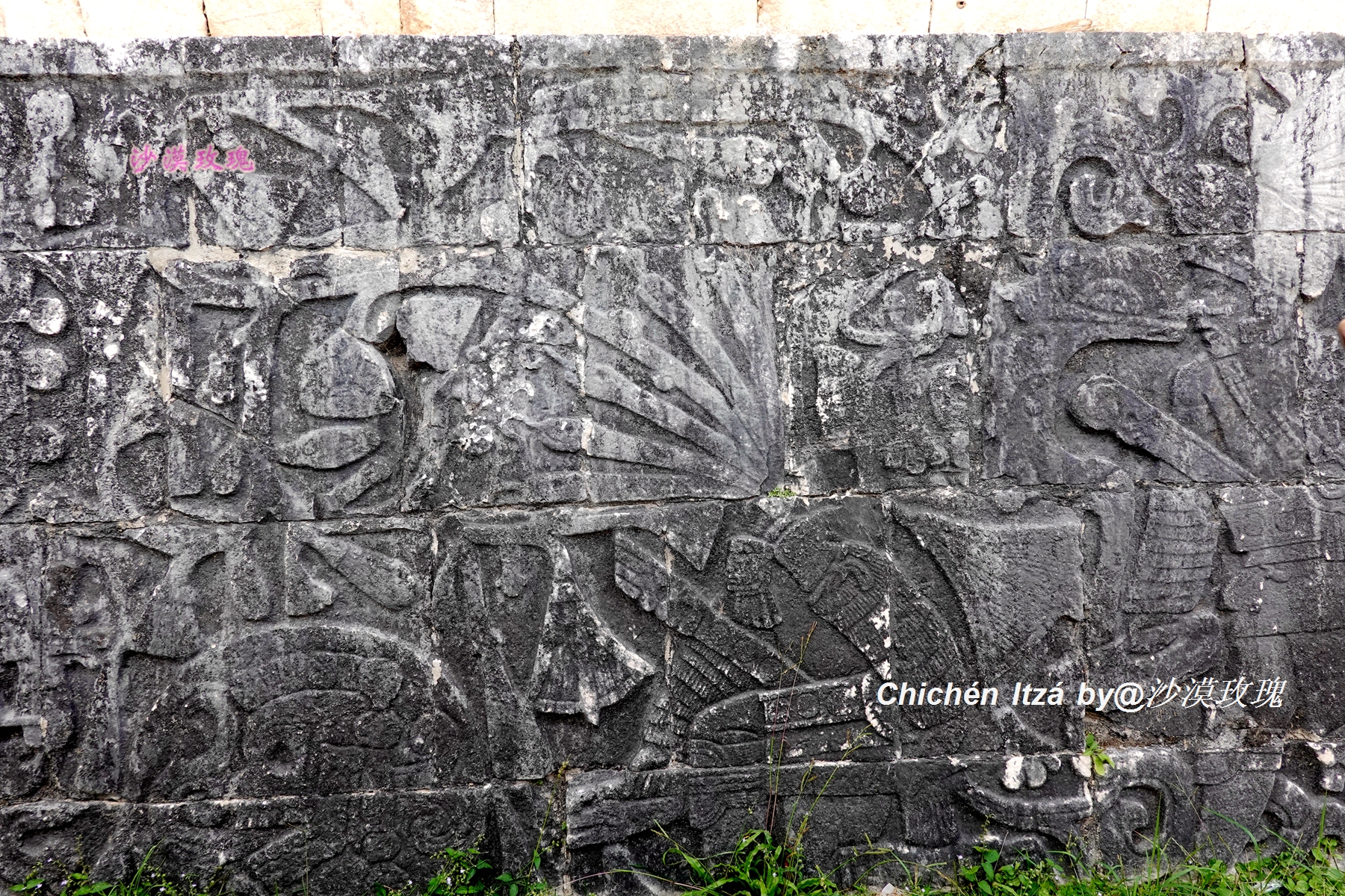 玛雅人大战史蒂夫,玛雅人比赛扔枪