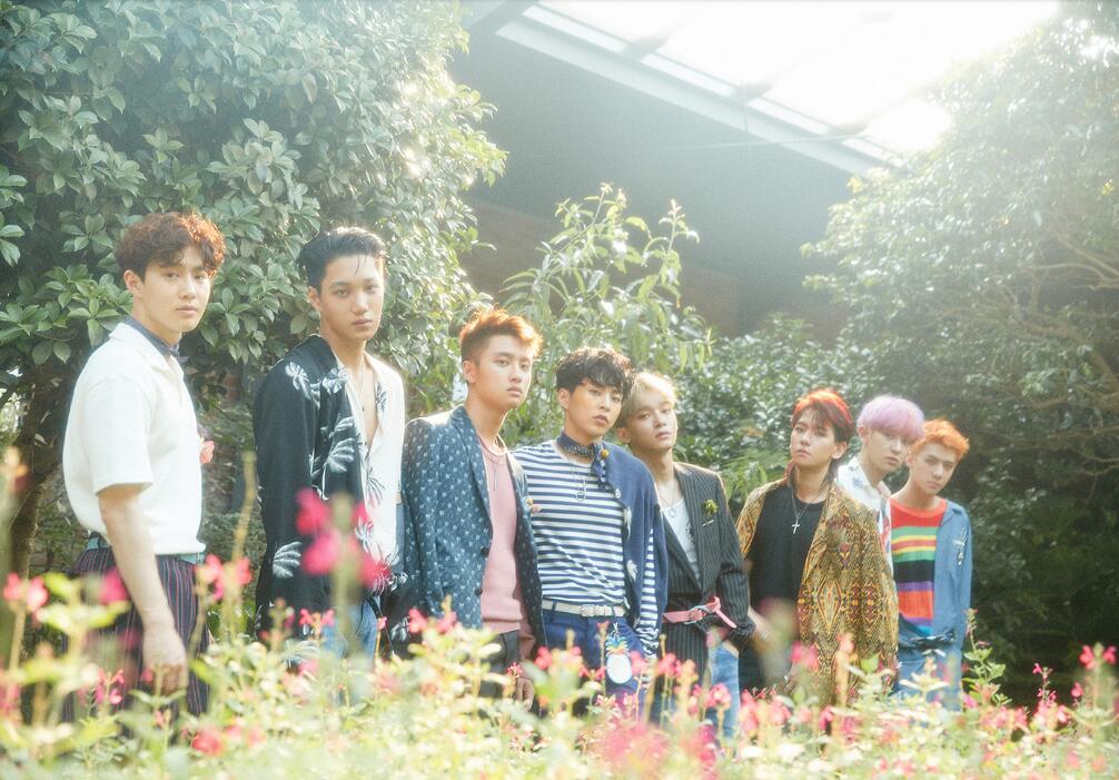 exo被粉丝暗伤,exo粉丝事件