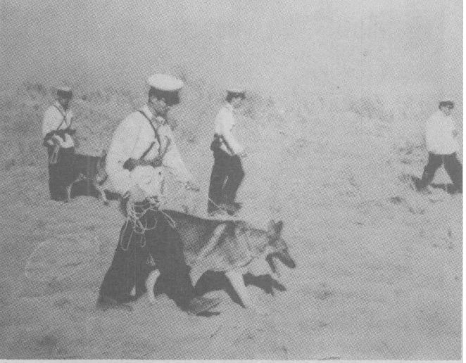 罗布泊失踪的科学家之谜,科学家在罗布泊离奇失踪