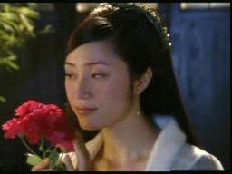 水月洞天19年演员现状,水月洞天在哪个台播过