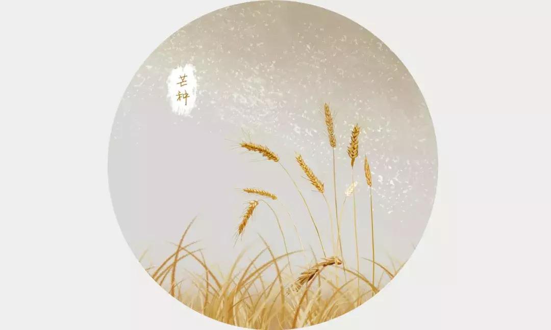 芒种黄龄清唱,芒种百里玄策