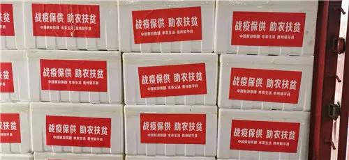 疫情中国企业担当,文旅集团防控疫情工作方案