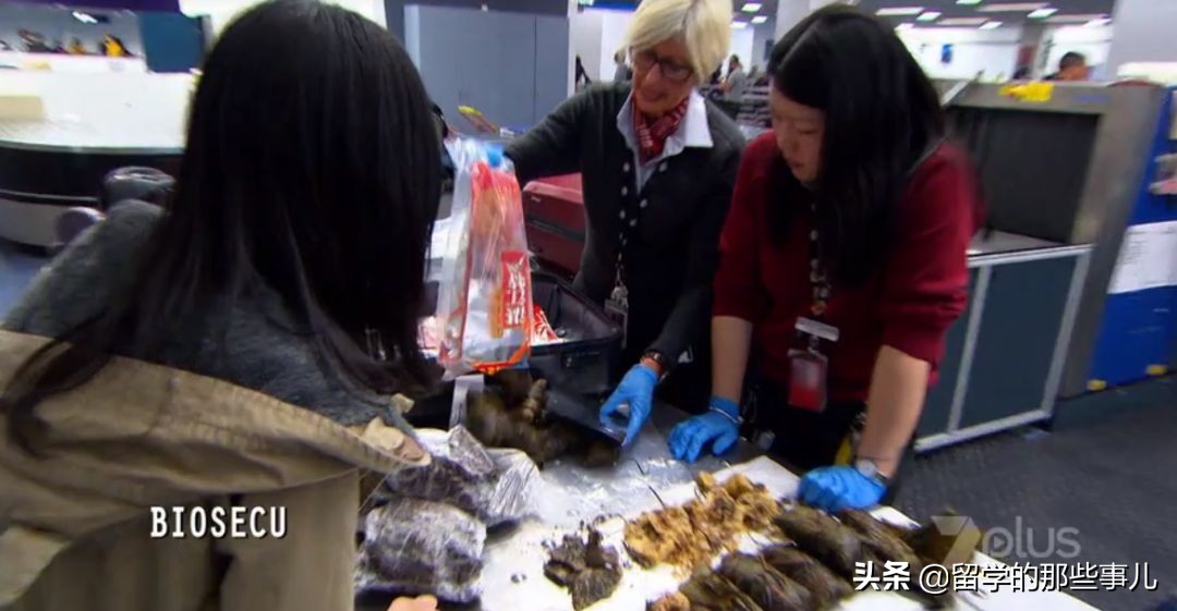 澳洲禁止入境物品最新规定,入境澳洲哪些东西能带哪些是禁带