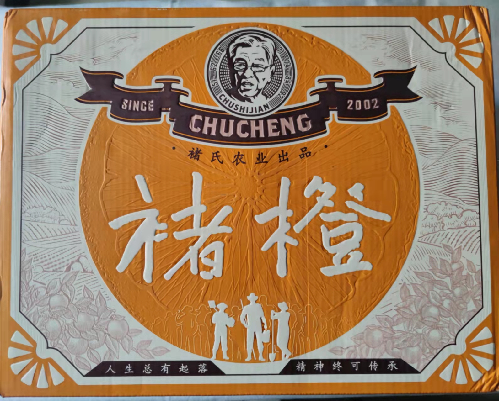 不是每一种橙子都叫赣南脐橙,褚橙和冰糖橙有什么区别