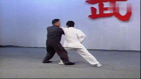 螳螂拳的实战杀法,最猛螳螂拳全套慢动作教学