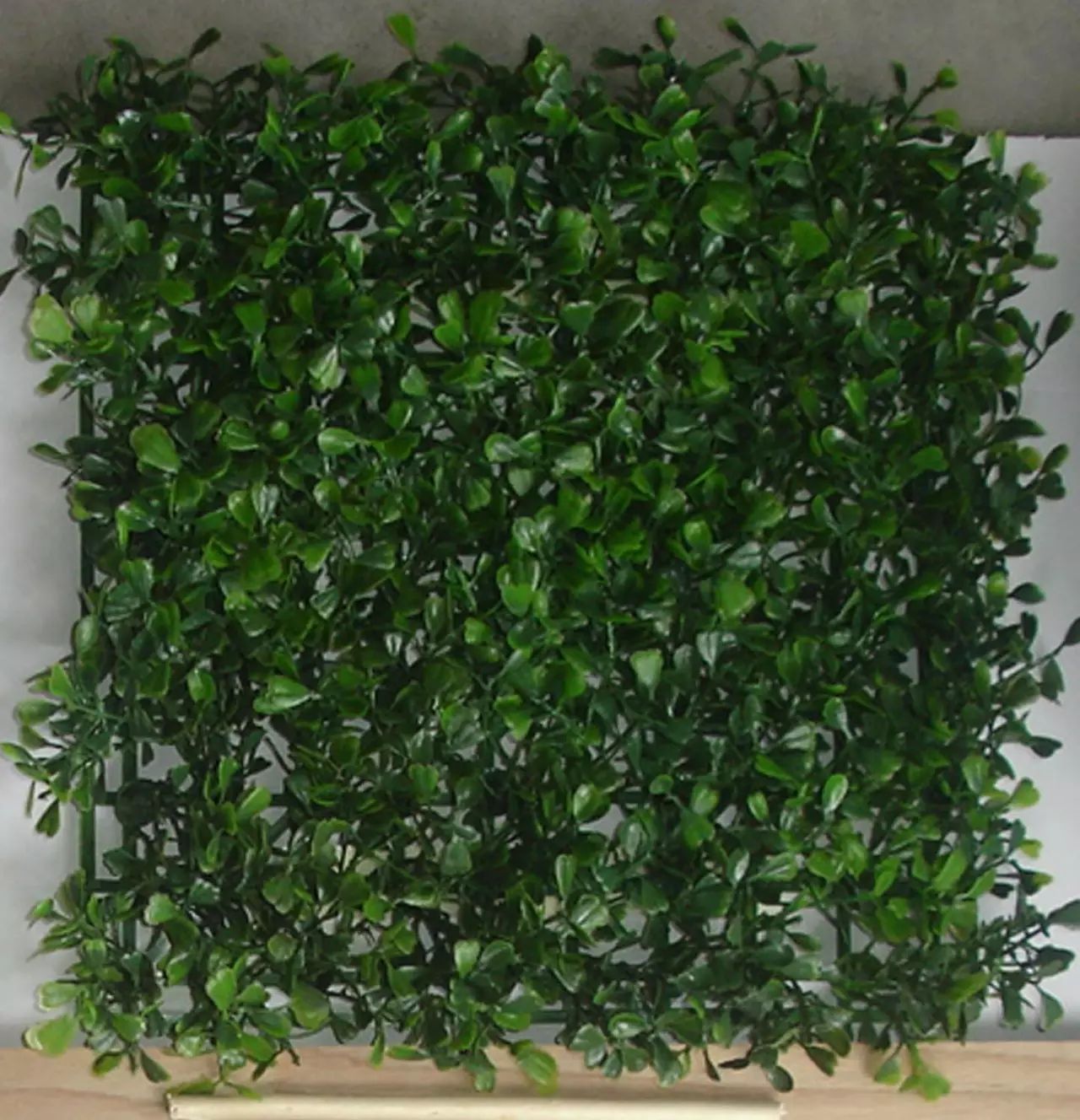 pvc塑料绿植,绿植盆里的塑料